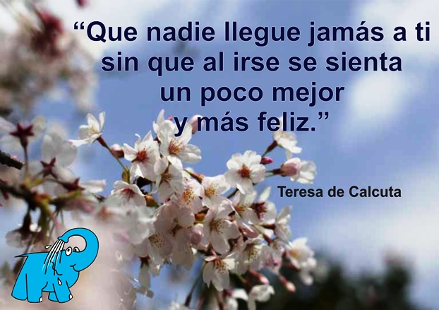 Una Enseñanza de Teresa de Calcuta en la Frase del Día del Elefante Azul de Avilés.